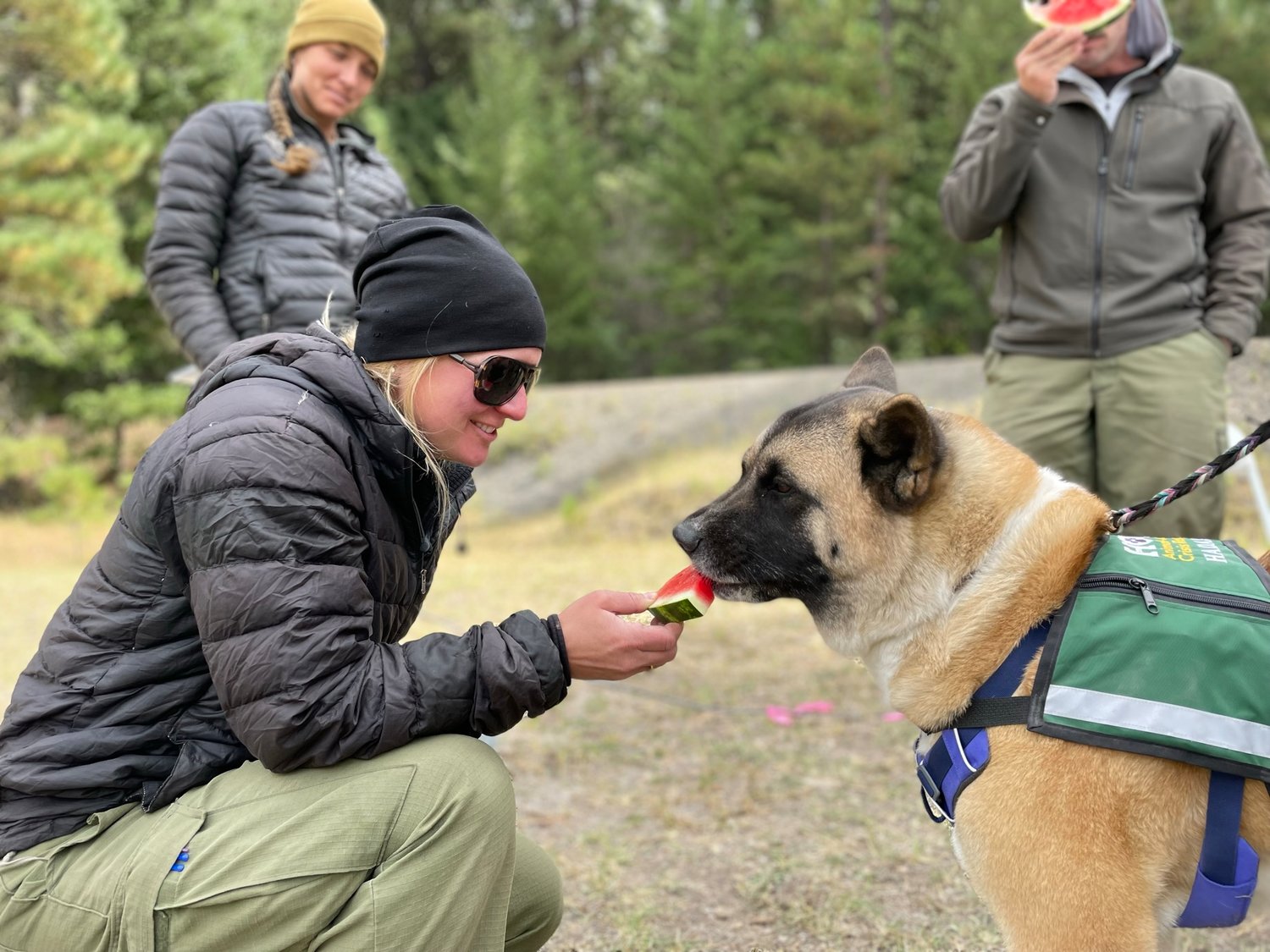 Firefighters at Goat Rocks Fire Get Visit From Therapy Dogs The Daily
